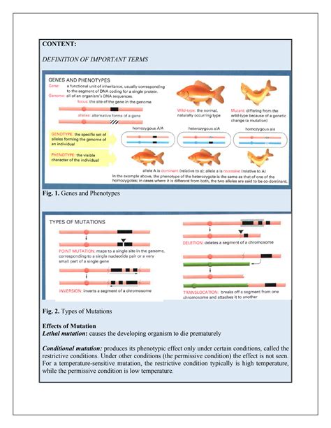 SOLUTION Lecture Note On Dna Complementation Analysis Mcb 411 Studypool