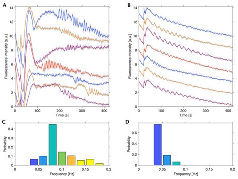 Ijms Free Full Text Metabolic Oscillations And Glycolytic Phenotypes Of Cancer Cells