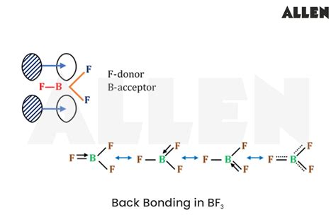 Back Bonding: Definition, Types & Conditions