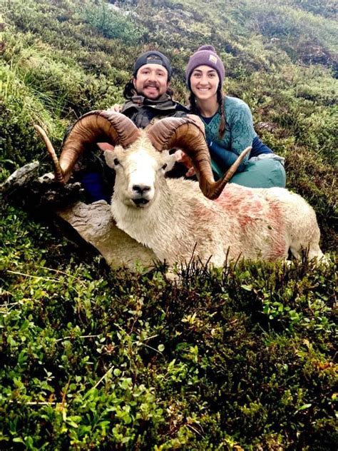 Dall Sheep Hunt Raffle Sci Alaska