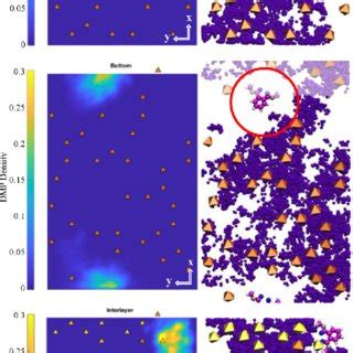 A Two Dimensional Free Energy Maps In The Yz Plane For DMP DEP