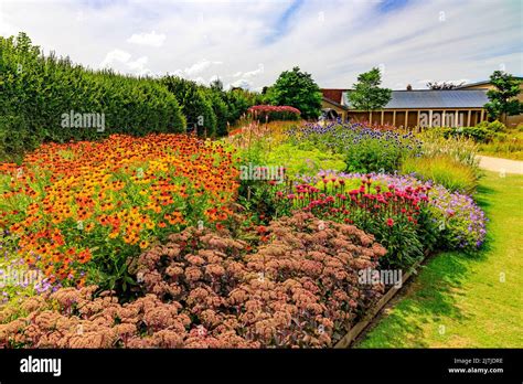 A Colourful Mid Summer Display Of Herbaceous Planting By Piet Oudolf At