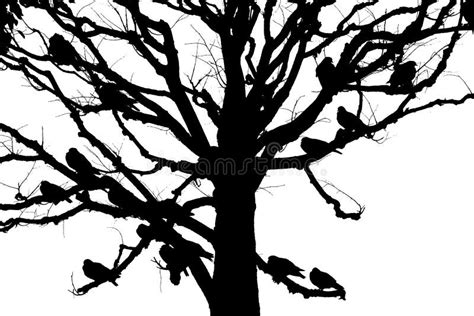 Tree silhouette with birds stock image. Image of bird - 125687057