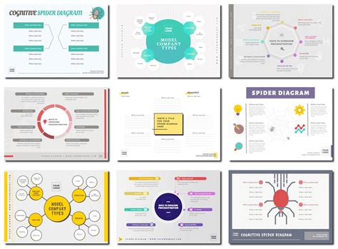 Create a Spider Diagram Online and Free