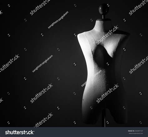 1 621 Clothed Female Naked Male Images Stock Photos 3D Objects Vectors Shutterstock