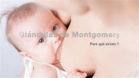 Gl Ndulas De Montgomery Youtube