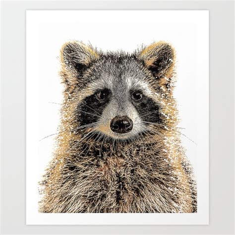 Cute Vintage American Raccoon Face Cute Raccoon Face Oil Paint