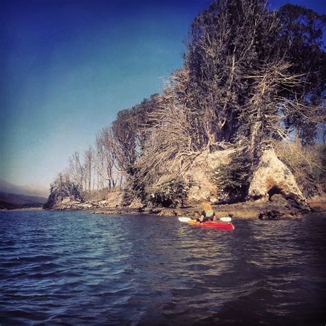 Kayaking the California Delta: Tomales Bay