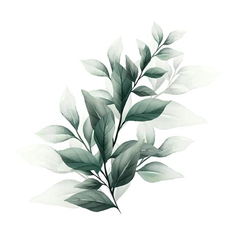 Bouquet Of Watercolor Leaves Png