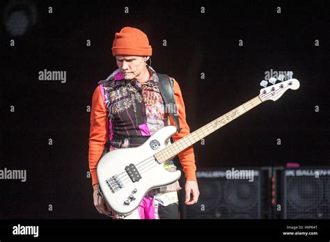 Flea Red Hot Chili Peppers Hi Res Stock Photography And Images Alamy