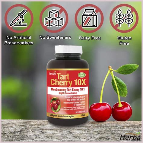 Herba Tart Cherry Extract Capsules 120 Pills 10 000mg Per Day Highly Concentrated 10 1