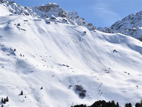 GR Un Cane Da Valanga Salva Uno Scialpinista Sepolto Sotto La Neve