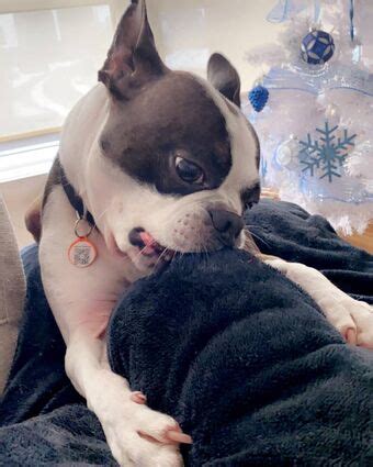 Sandra Lagousse Anonygousse Nude Leaks OnlyFans Leaked Models The Fappening Leaked Photos