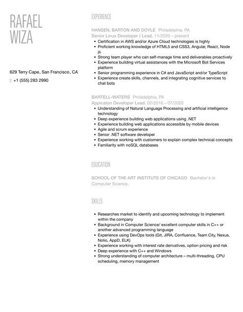 Developer Lead Resume Samples Velvet Jobs