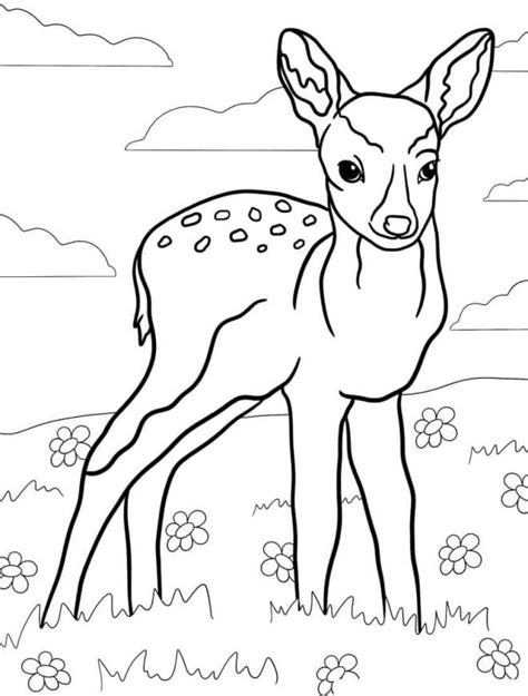 Coloriage Faon mignon apprend a marcher dessin gratuit à imprimer