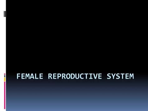 Ppt Female Reproductive S Ystem Powerpoint Presentation Free