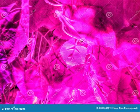 Spotlight on Fabric Decorations Stock Image - Image of sorotan, fabric ...