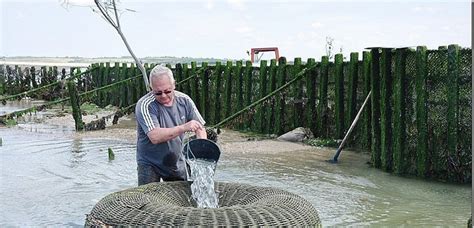 Hauteville sur Mer Une conférence pour découvrir les pêcheries et leur