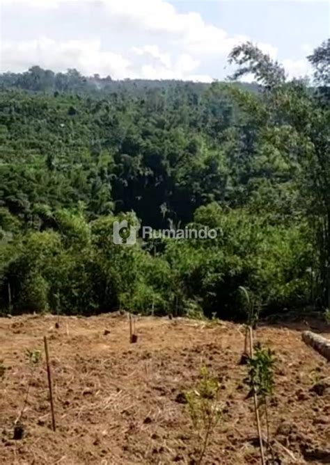 Rumaindo Dijual Tanah Los Sungai Di Kawasan Payangan Ubud Bali