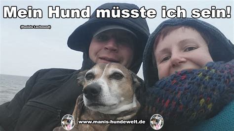 Was Liebst Du An Deinem Hund Liebe Gr E W Nscht Mani Und Sein