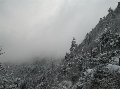 Appalachian Trail Part David Warners Flickr