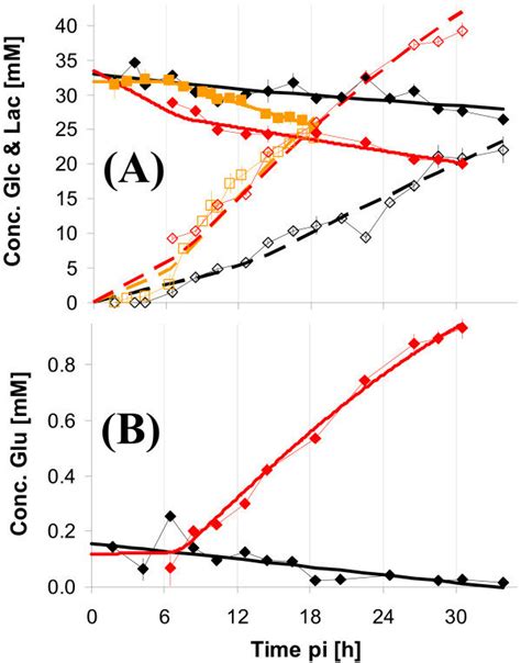 Concentrations Of Extracellular Metabolites After Infection With