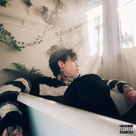 Broken Butterflies Fuck You Song By Nosun Spotify