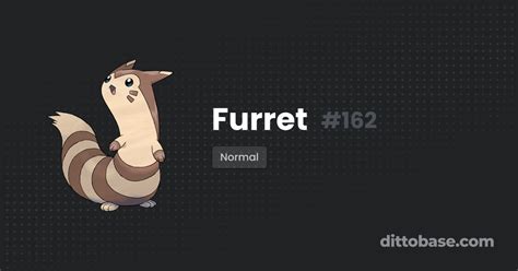 Furret Dittobase Pokédex