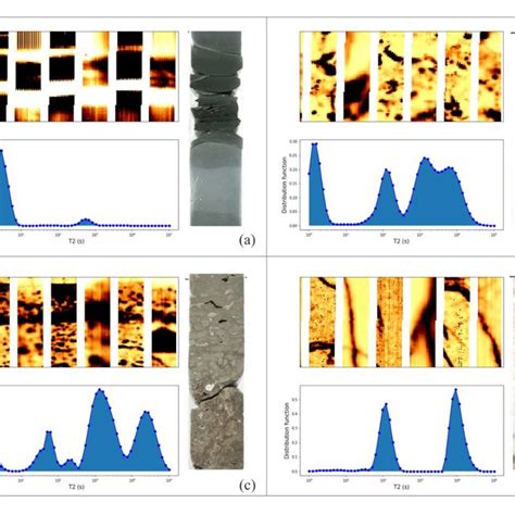 Images For A Shale B Dolomite C Dolomite With Chert And D