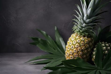 Pineapple Leaves Stock Photos, Images and Backgrounds for Free Download