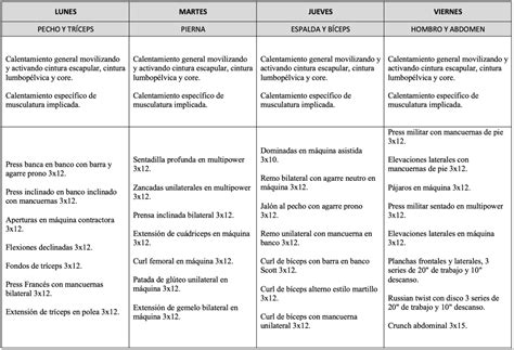 Ectomorfo Gu A Completa Para Incrementar M Sculo