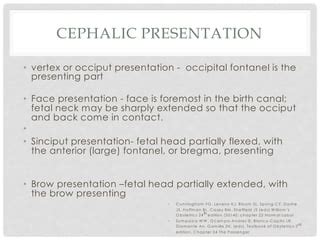 fetal  cephalic