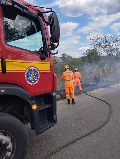 Incêndio consome 20 mil metros de vegetação à margem da MGC 342 entre