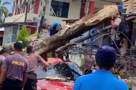 Angin Kencang Pohon Tumbang Timpa Mobil Petugas RSUD Ternate ANTARA News