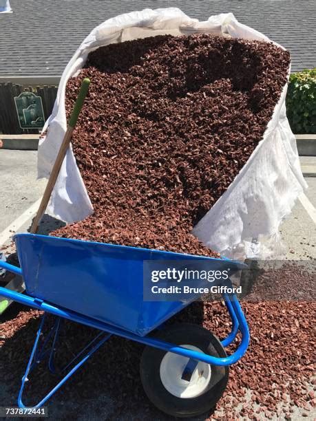 134 Mulch Wheelbarrow Stock Photos High Res Pictures And Images