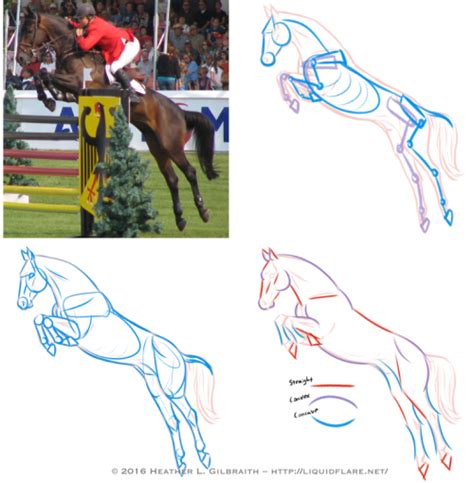 Time to Reflect - – Horse Drawing Tips – Hello, all! I thought I’d...