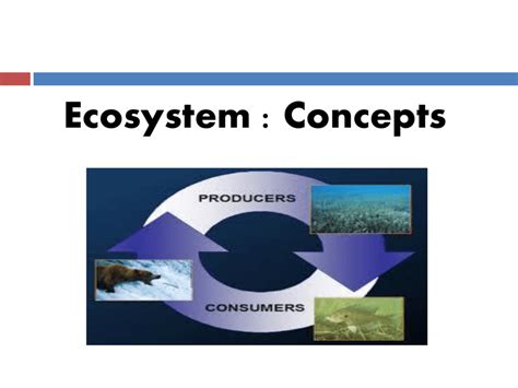 Ecosystem Ppt Class 2015