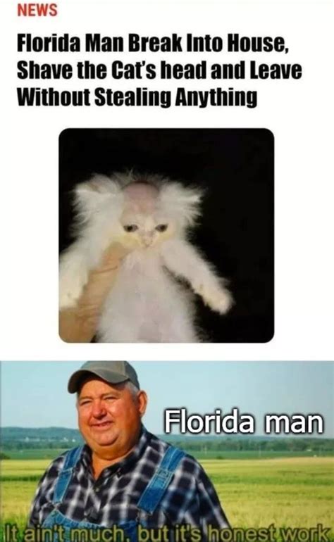 Florida Man Humor Funny Man