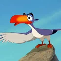 Bird Cartoon Characters Names