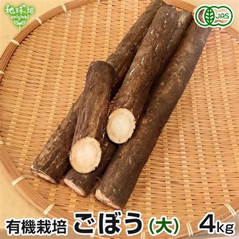 ごぼう大 4kg 有機栽培 鹿児島県産 宮崎県産 ゴボウ 牛蒡 無農薬 土付き バラ 国産 大きめ 太め 加工 オーガニック