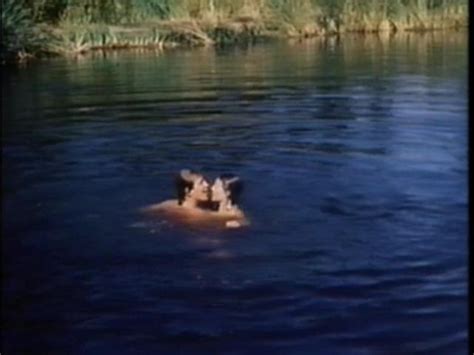 Naked Kathrine Baumann In Slashed Dreams