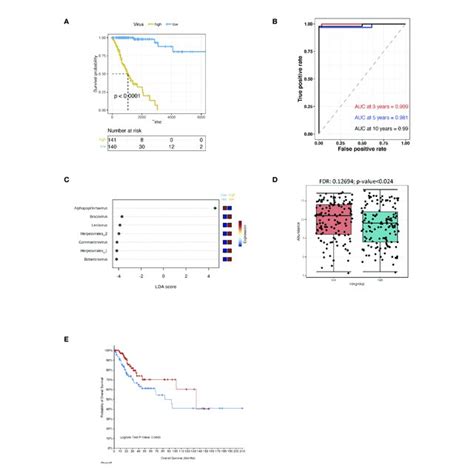 Virus Analysis Of The Prognosis Of High And Low Risk Groups Of Cscc