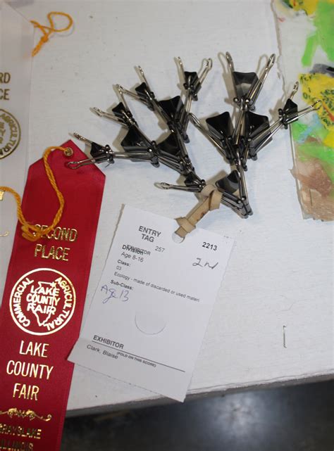 Mitch O'Connell: The Lake County Fair Art Contest Winners (according to ...