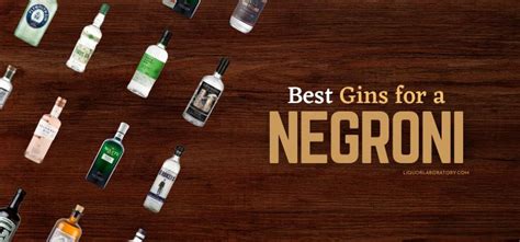 15 Best Gin for a Negroni Cocktail: Expert Guide (2024)