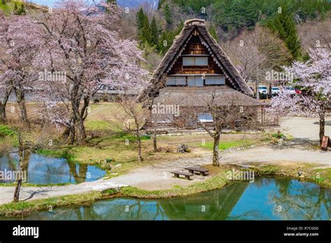 famous traditional gassho zukuri farmhouses  shirakawa  village