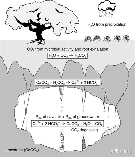 溶洞形成本质：碳酸钙遇酸溶解成碳酸氢钙 - 知乎