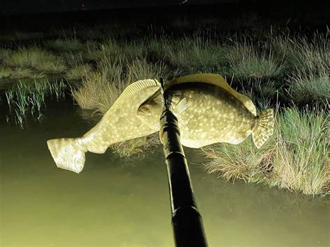 Flounder Spear Fishing