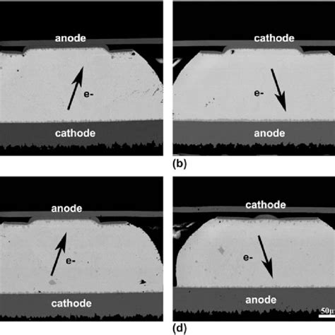 Typical Microstructures Of The Solder Joints Reflowing A B Without Download Scientific