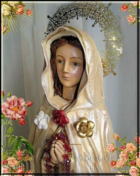 Virgen Mar A Ruega Por Nosotros Im Genes De Virgen Mar A Rosa