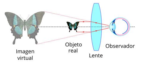 EL MICROSCOPIO Funcionamiento Del Microscopio